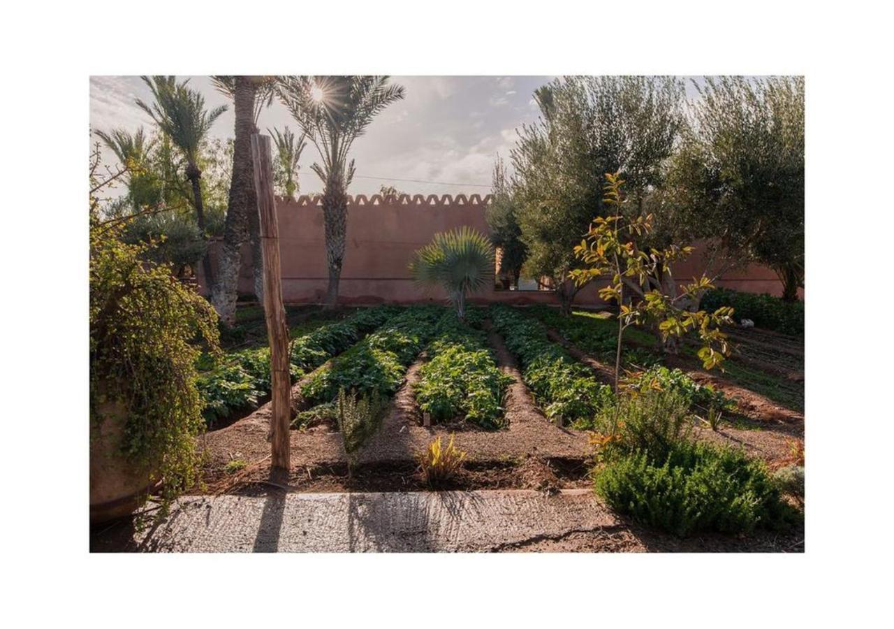 10 Bedrooms Villa With Private Pool Enclosed Garden And Wifi At Marrakech Marrakesh Exterior photo
